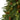 Artificial Christmas Tree