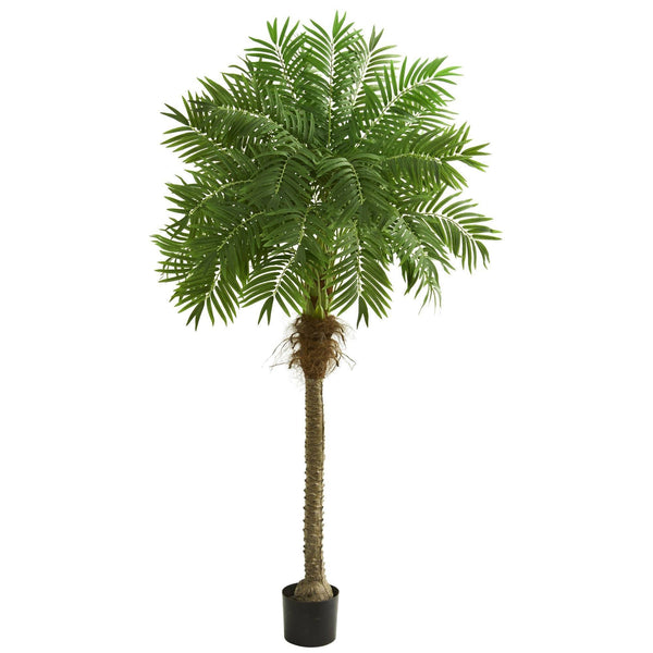6' Robellini Palm Artificial Tree