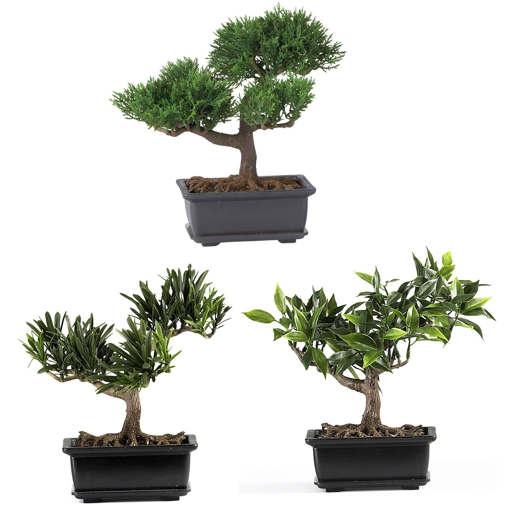 Nearly Natural 8.5in. Bonsai Silk Plant Collection (Set of 3)
