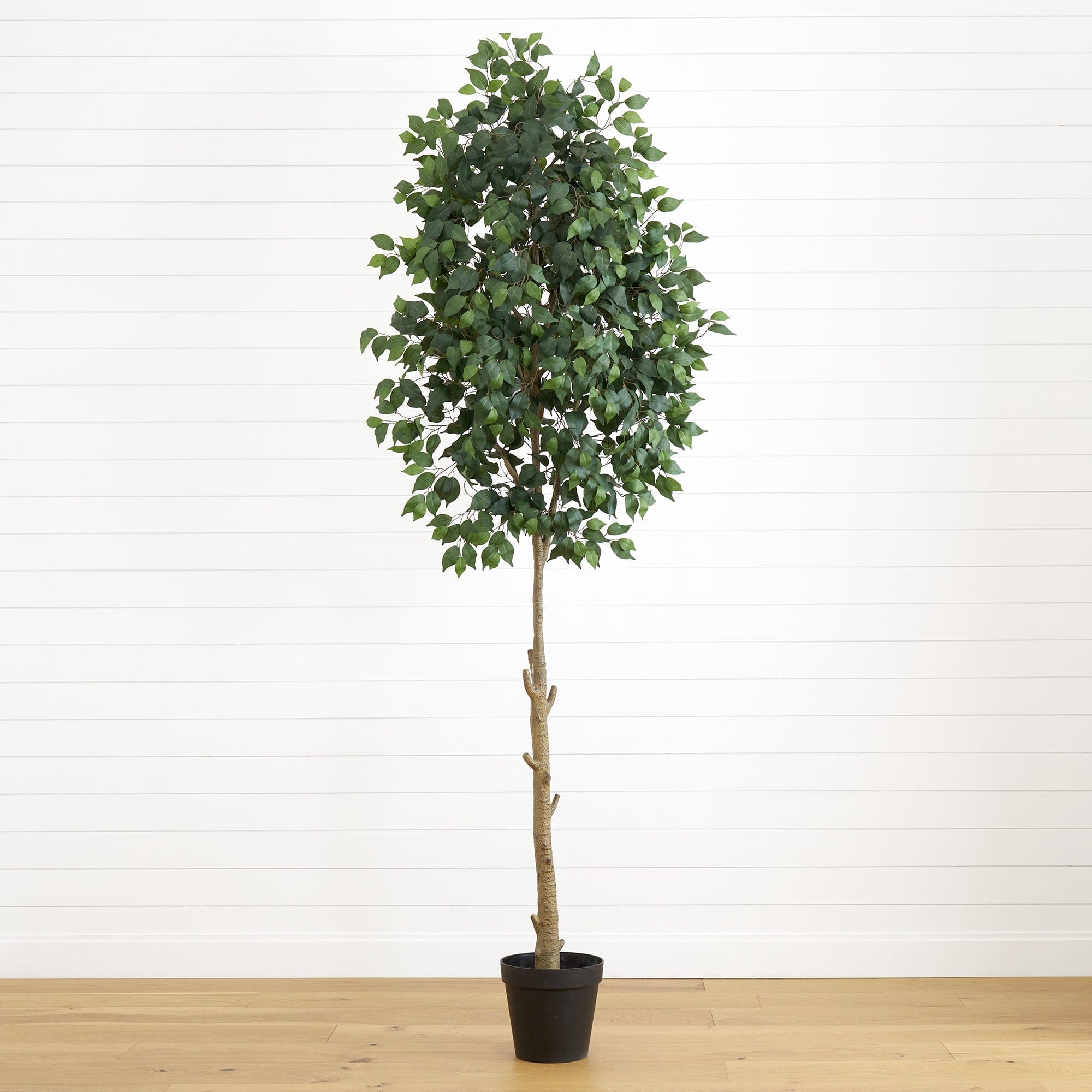 L’Appartement 別注STAMMBAUM 　新品！¥39600 9' Artificial Ficus Tree | Nearly Natural