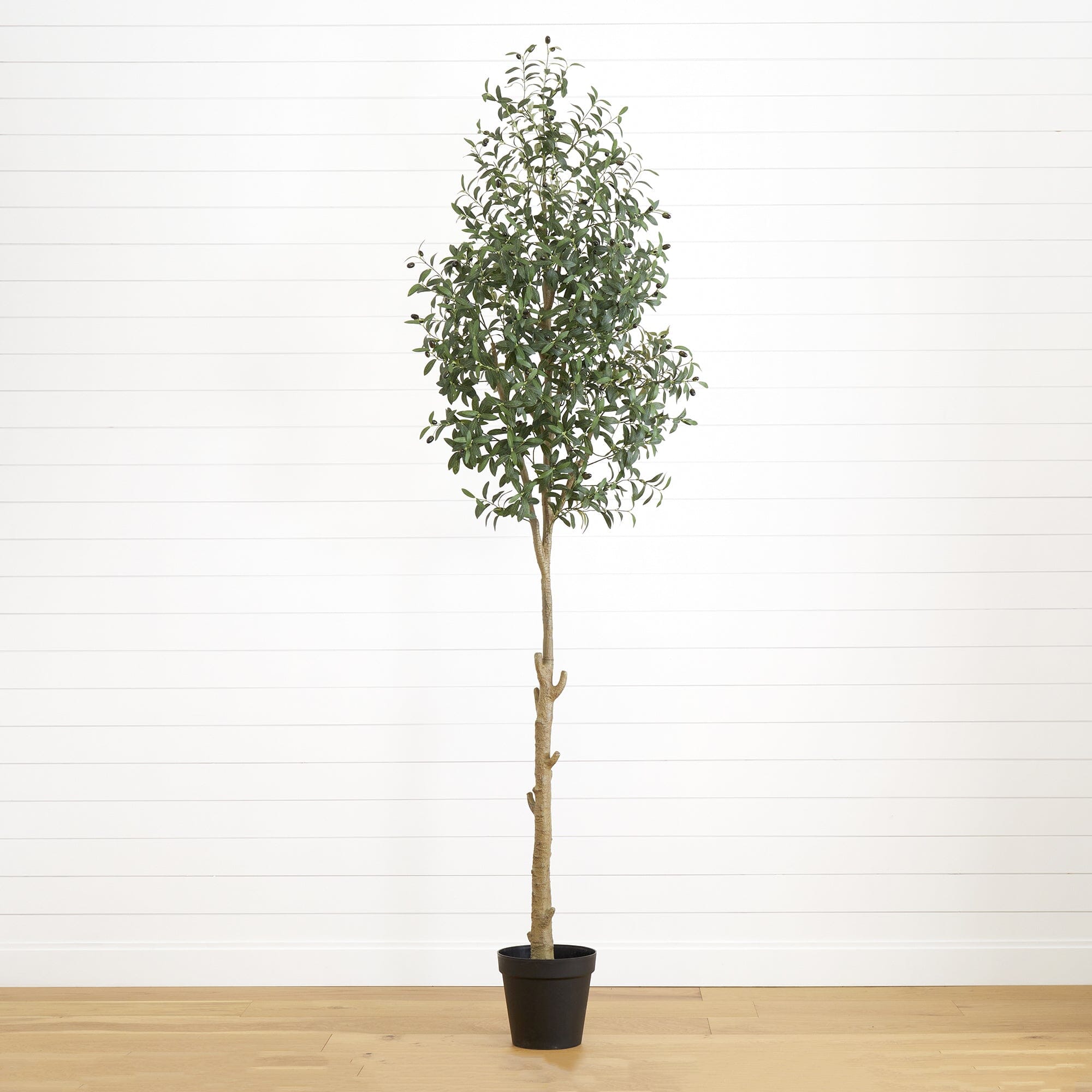 artificial-9-artificial-olive-
