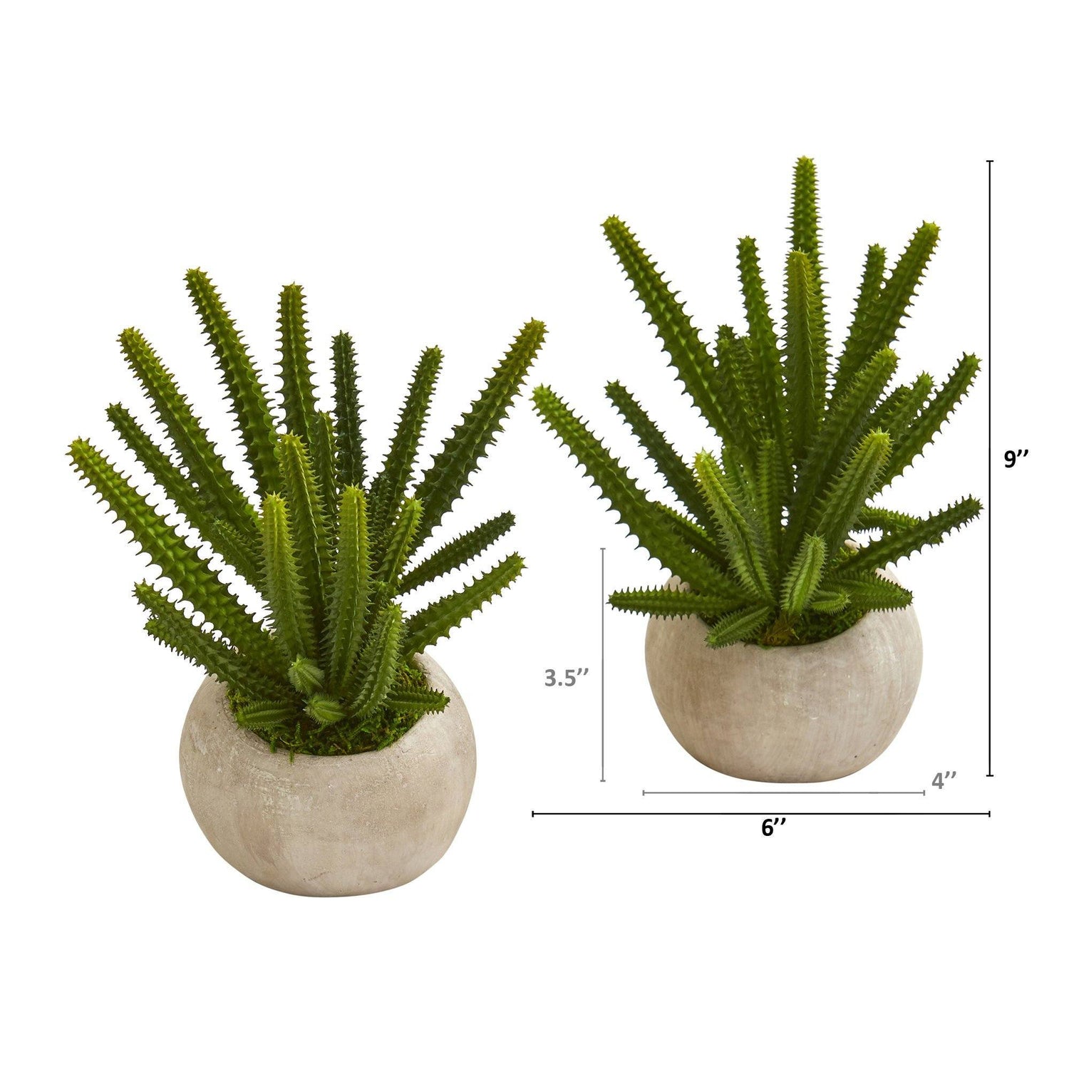 9” Finger Cactus Artificial Plant in Stone Planter (Set of 2)