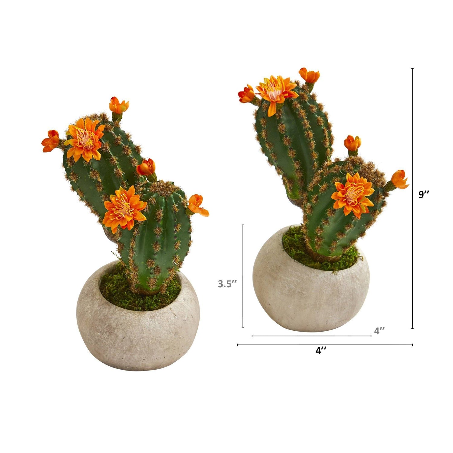 9” Flowering Cactus Succulent Artificial Plant in Stone Planter (Set of 2)