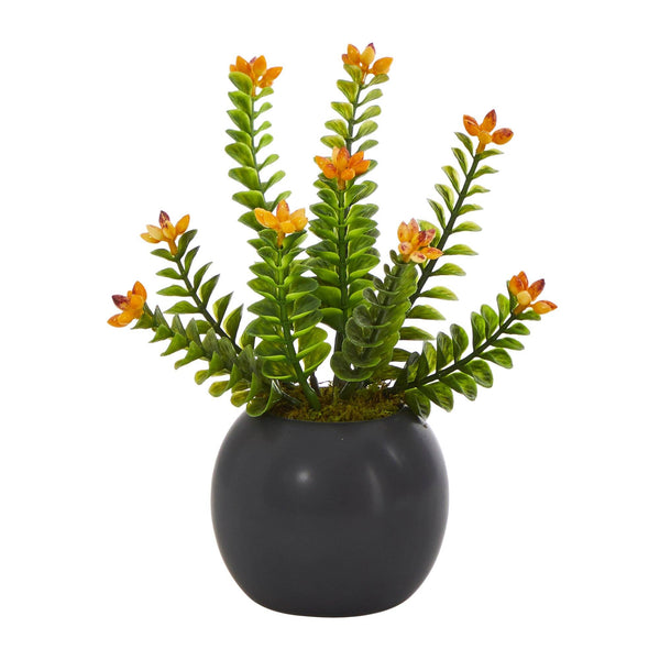 9” Flowering Sedum Succulent Artificial Plant in Black Planter