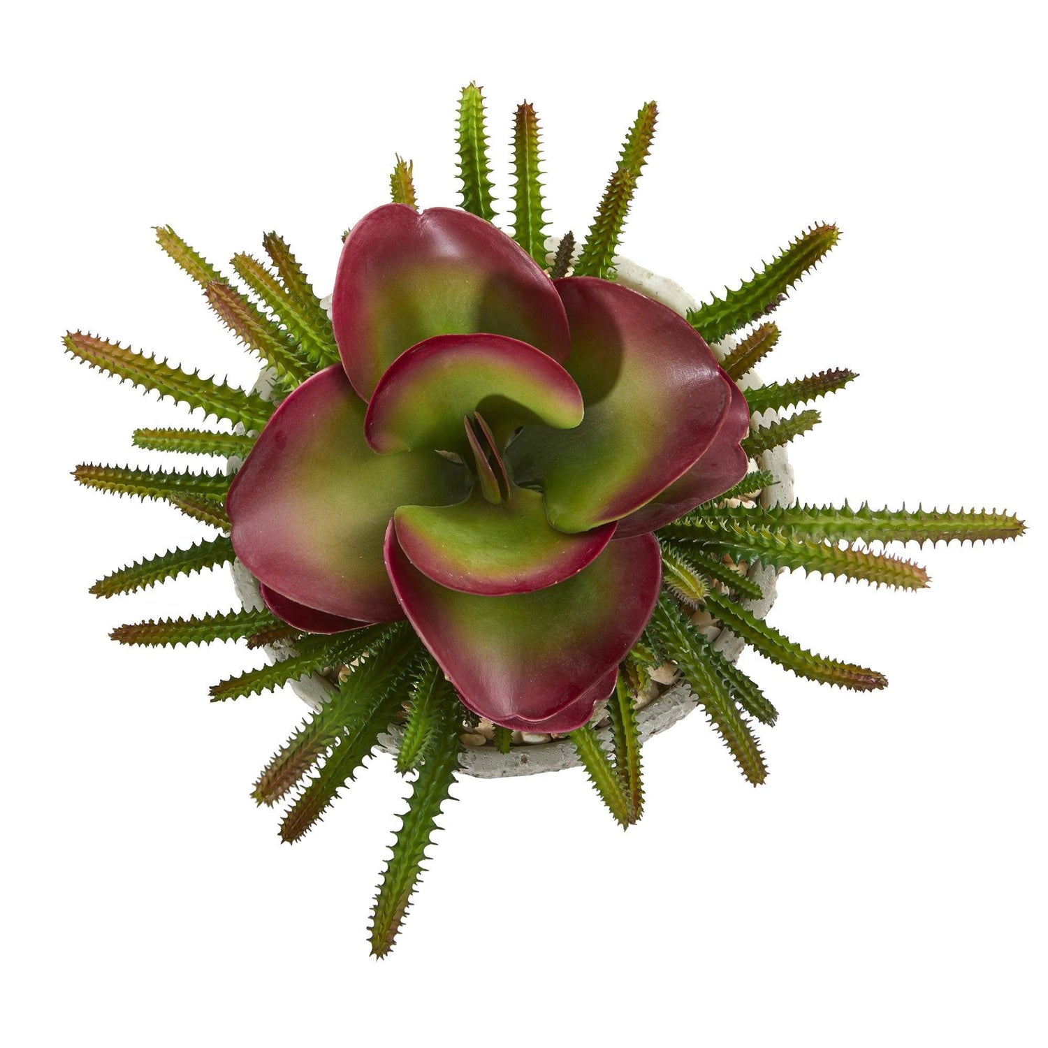 9” Mixed Succulent Artificial Plant in Weathered Oak Planter