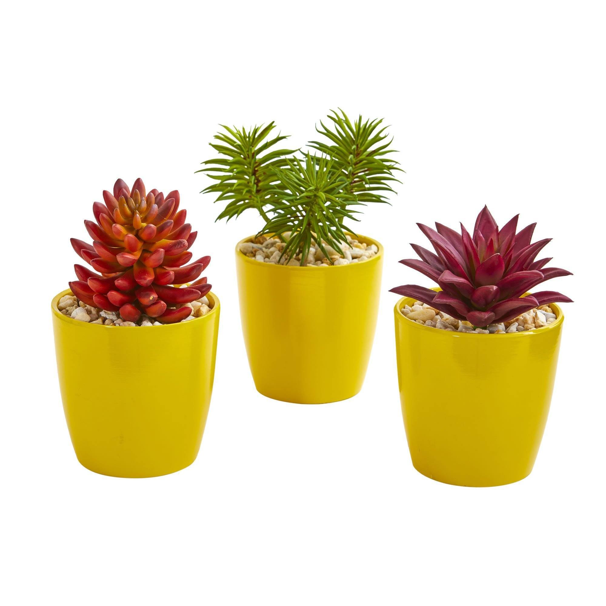 yellow succulent pot Nearly Natural 8450-S3 9 in. Mixed Succulent Artificial Plant in Yellow Vase