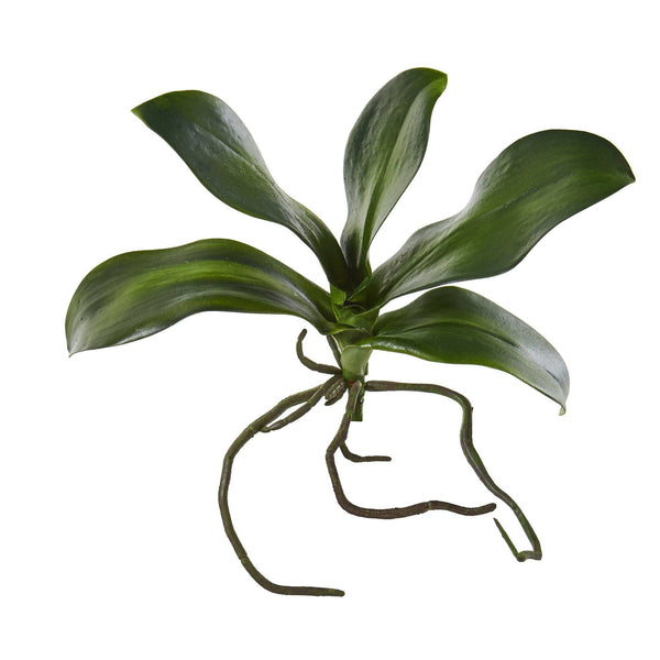 9” Phalaenopsis Orchid Leaf Artificial Flower (Set of 6)
