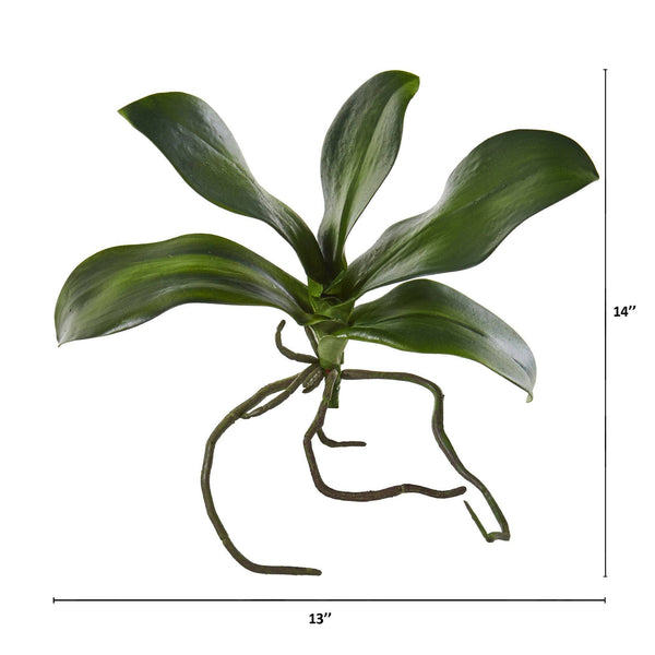 9” Phalaenopsis Orchid Leaf Artificial Flower (Set of 6)