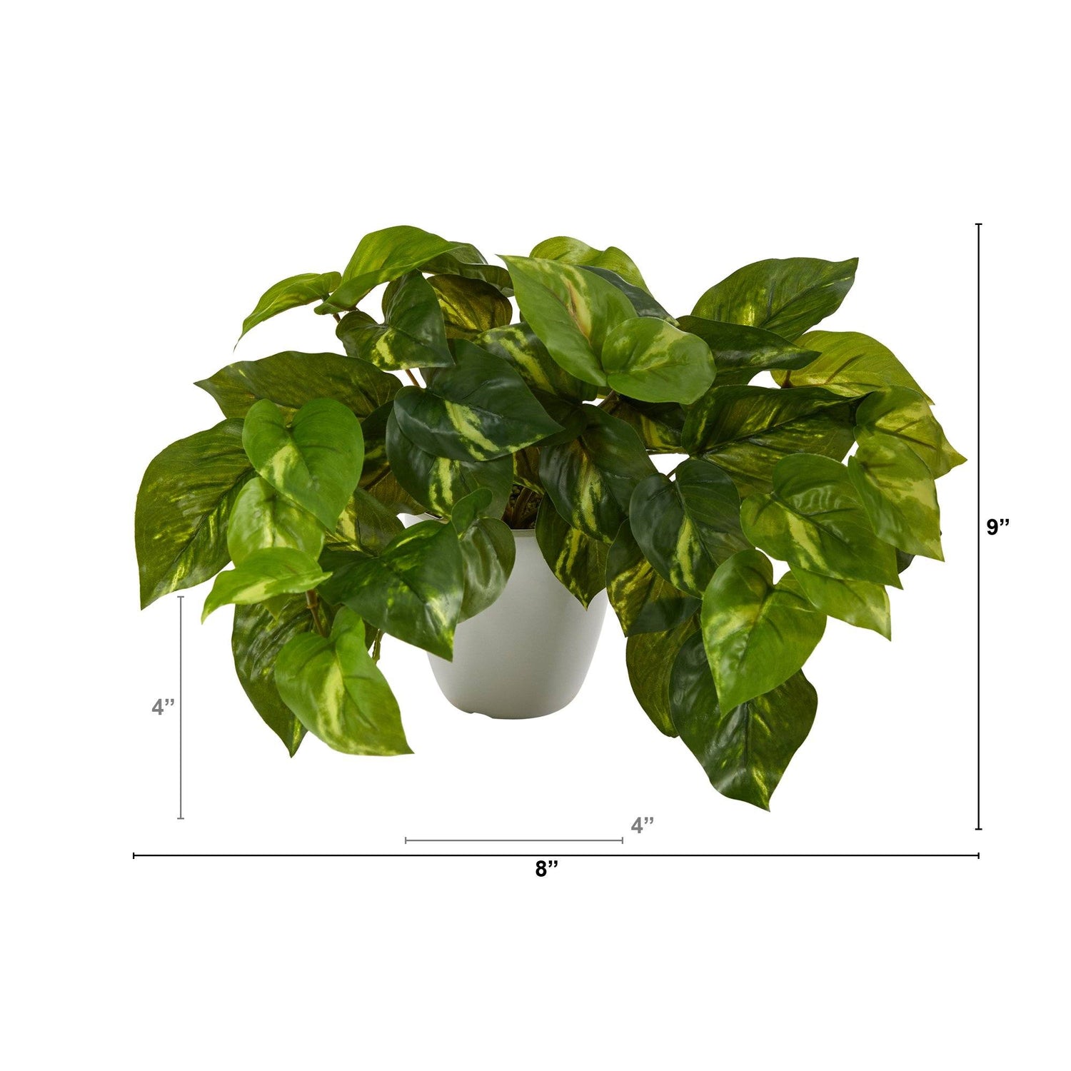 9” Pothos Artificial Plant in White Planter (Real Touch)
