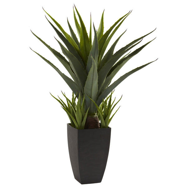 Agave w/Black Planter