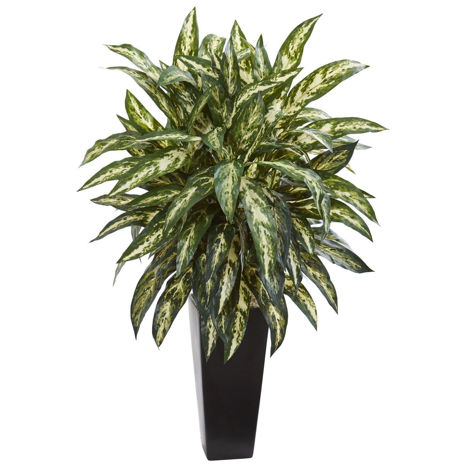 Aglonema Artificial Plant in Black Planter