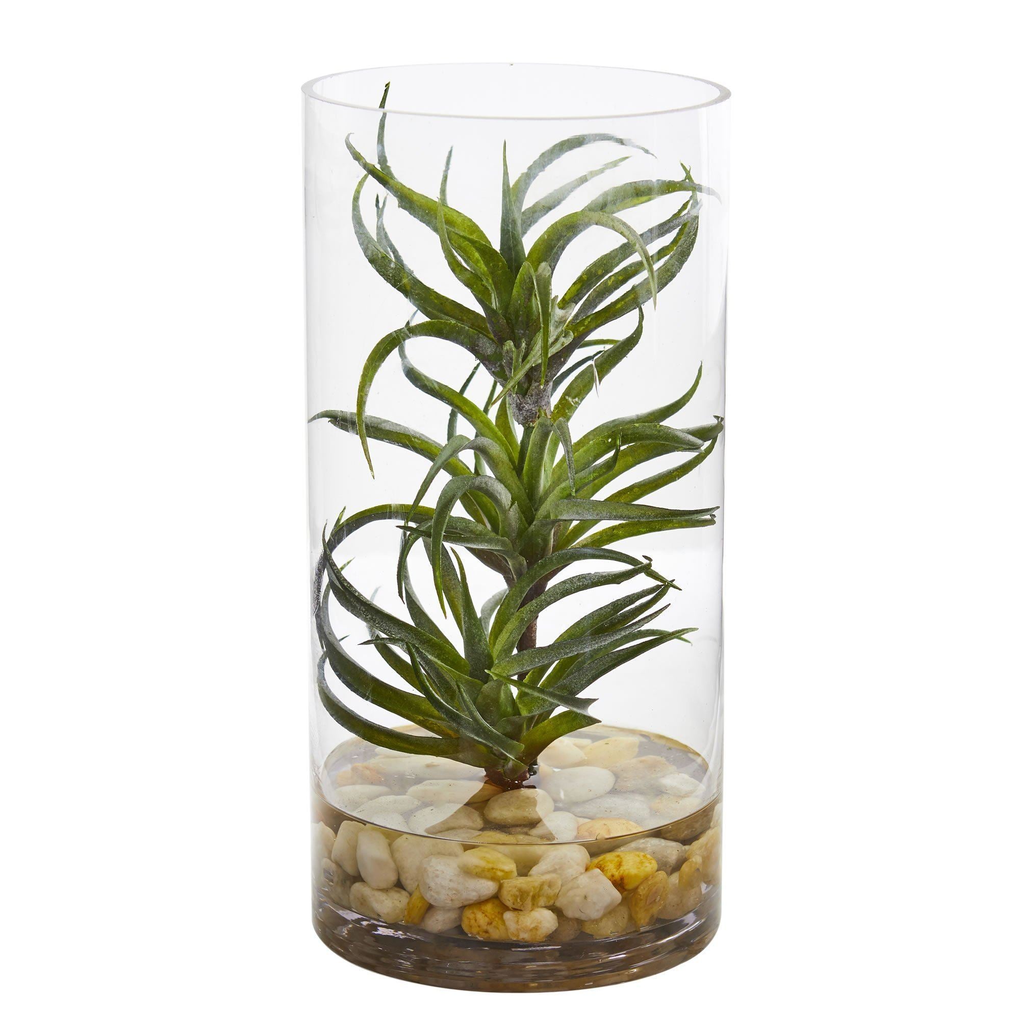 succulents in tall glass vases Air Plant Artificial Succulent in Glass Vase