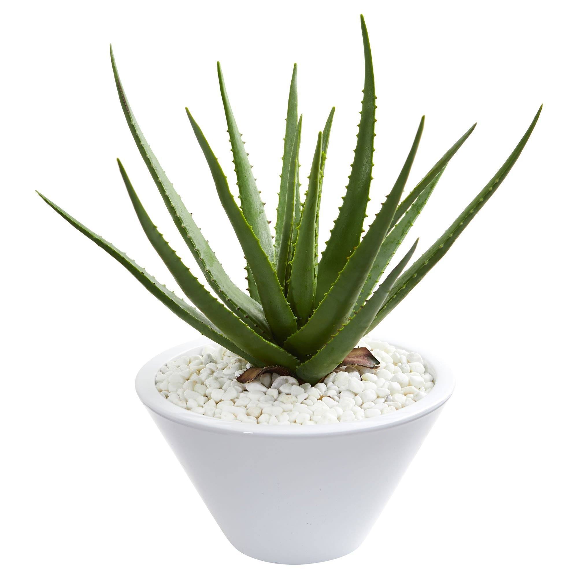 Aloe Artificial Plant in White Bowl Planter | Nearly Natural