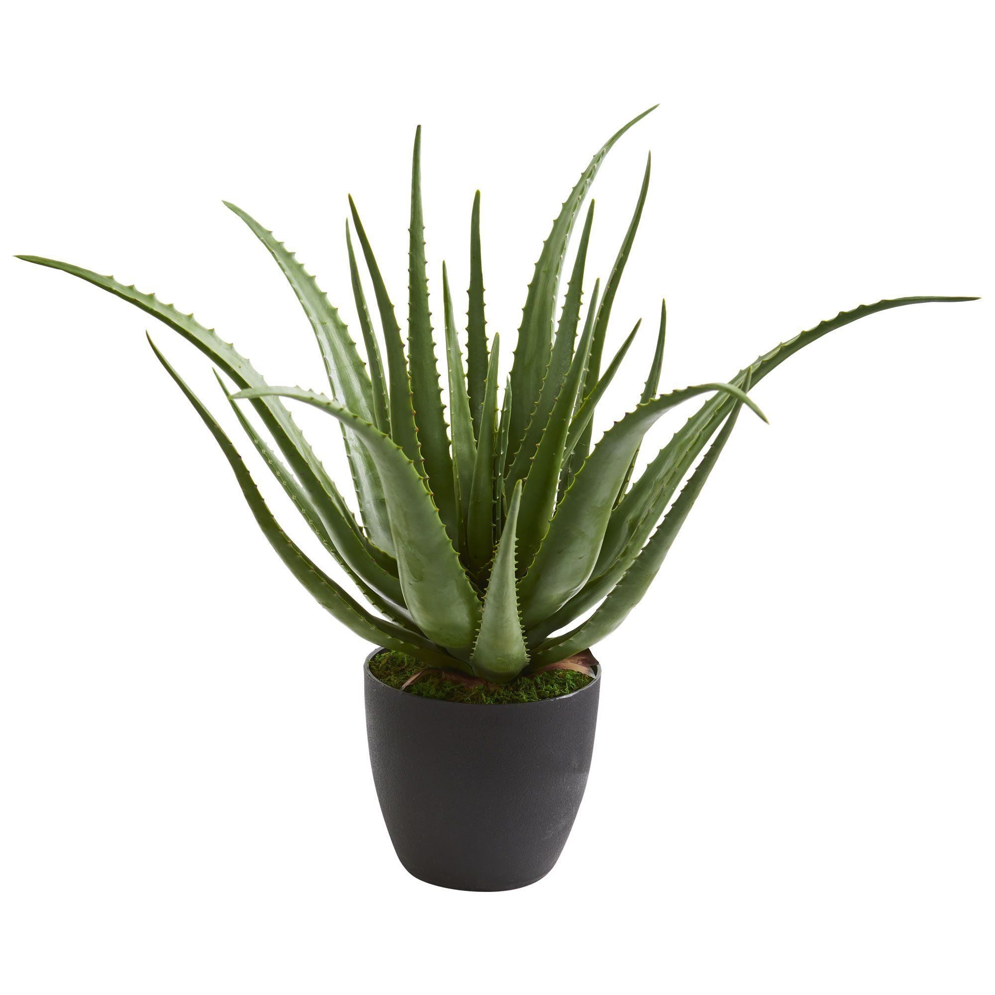 Nearly Natural Aloe Artificial Plant