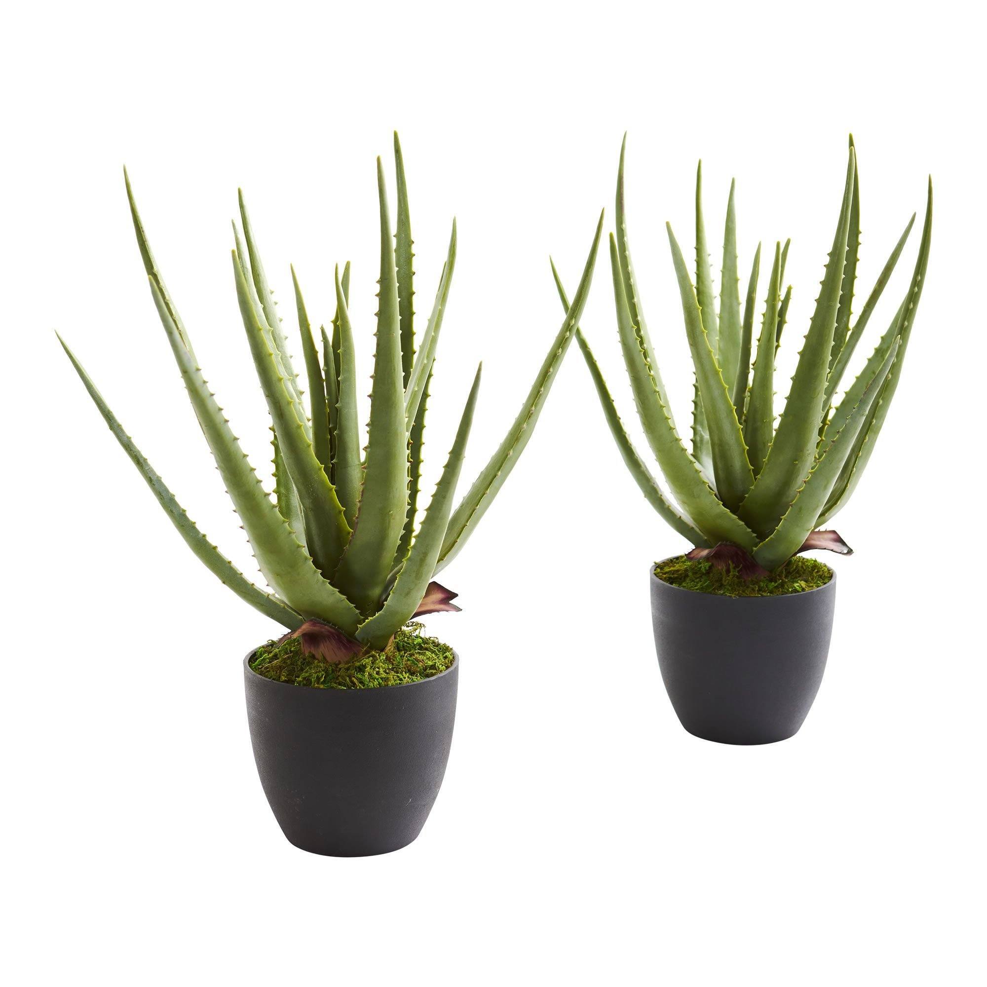 Nearly Natural Aloe Artificial Plant (Set of 2)