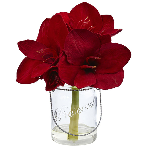Amaryllis in Glass Vase (Set of 2)