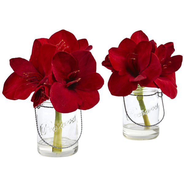 Amaryllis in Glass Vase (Set of 2)