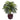 Areca w/Decorative Planter Silk Plant