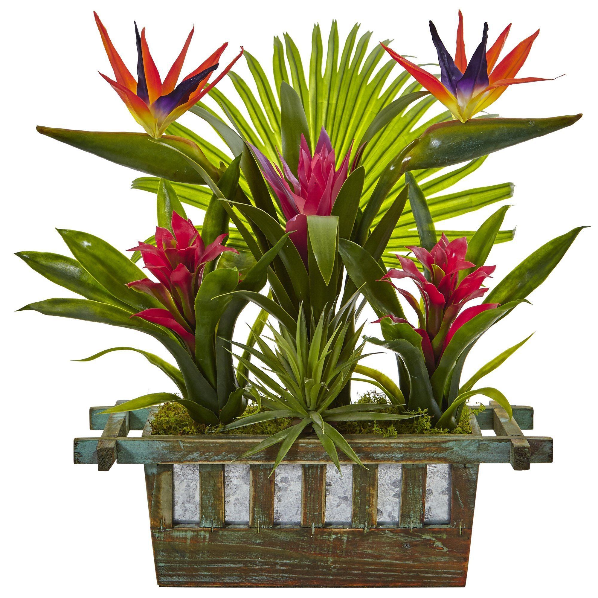 mixed bromeliads house plant Nearly Natural Birds of Paradise and Bromeliad in Planter