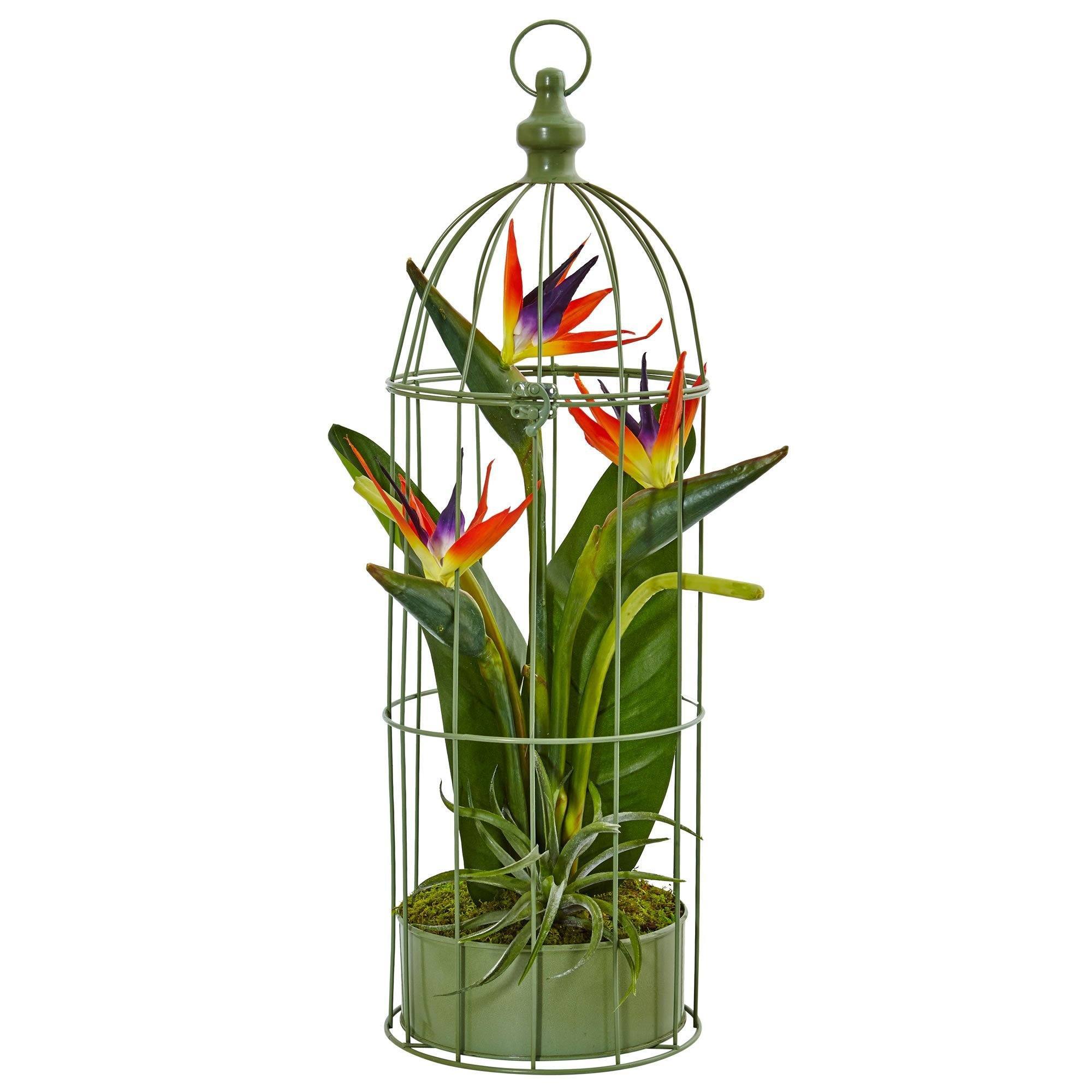 indoor plants in bird cages Nearly Natural 1509 Birds of Paradise in Bird Cage