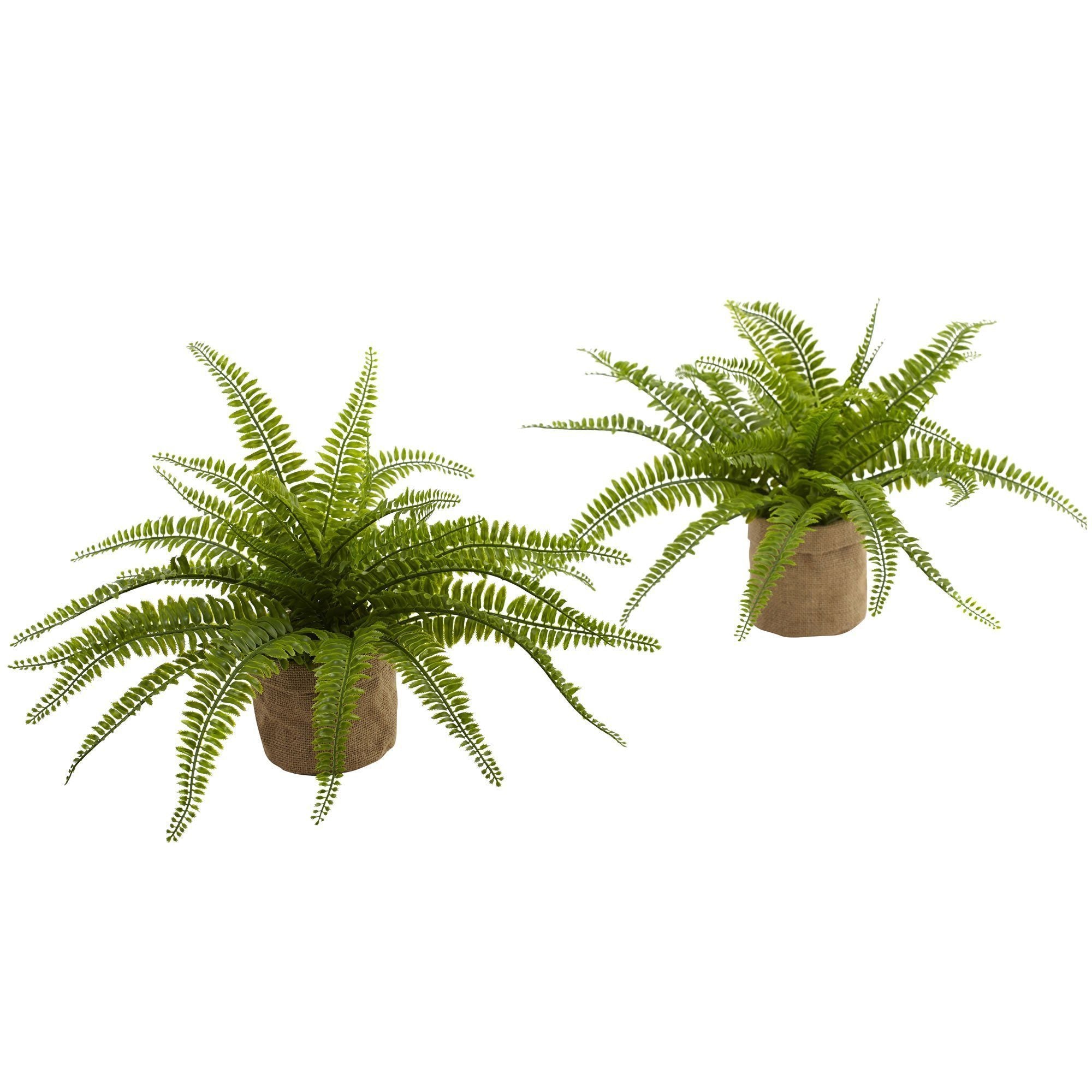 burlap planter pot Nearly Natural Boston Fern with Burlap Planter (Set of 2)