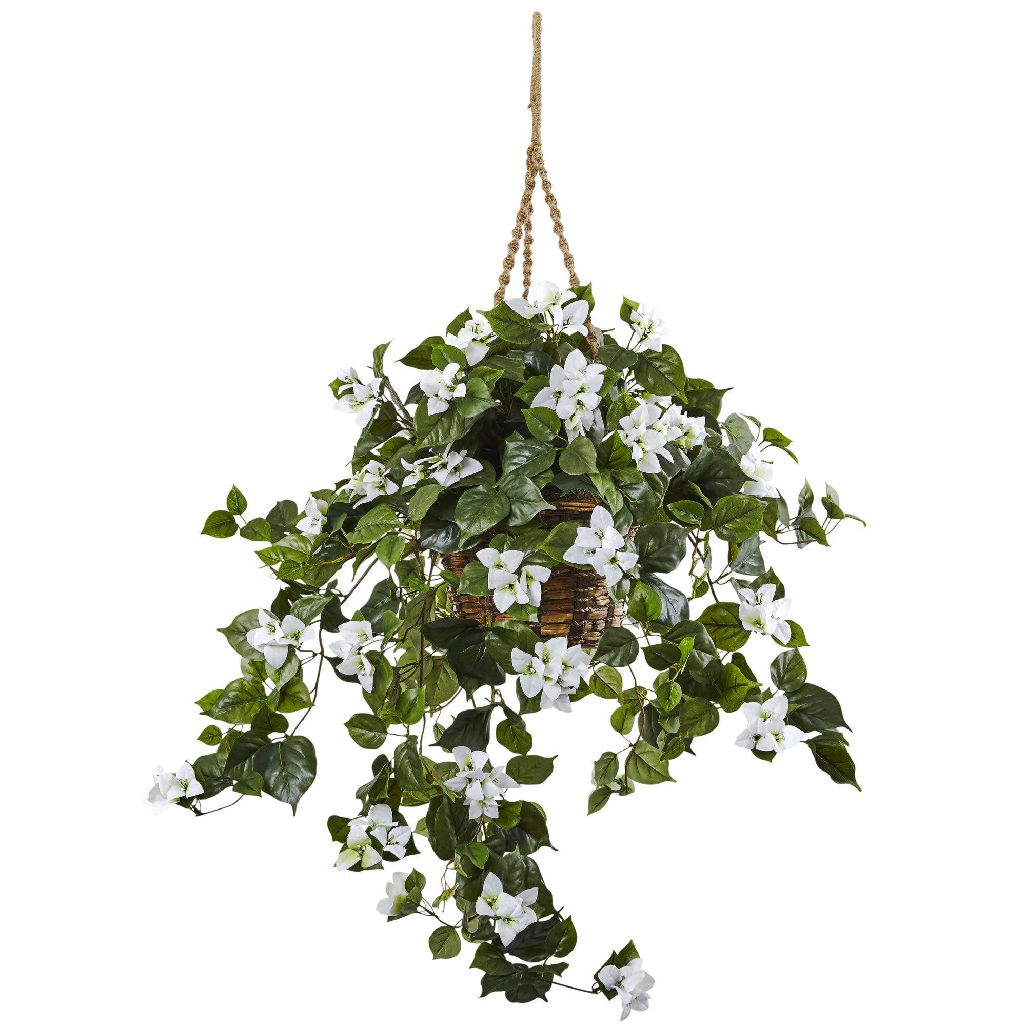 hanging basket plants b&q Bougainvillea Hanging Basket Nearly Natural