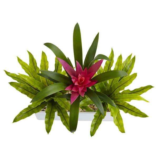 Bromeliad and Birdsnest in Rectangular Planter