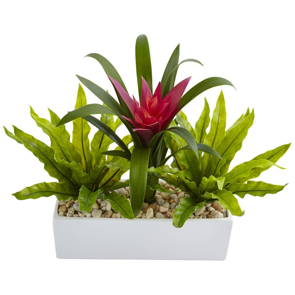 Bromeliad and Birdsnest in Rectangular Planter