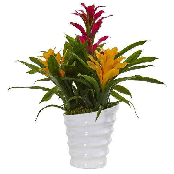 Bromeliad in White Swirl Vase