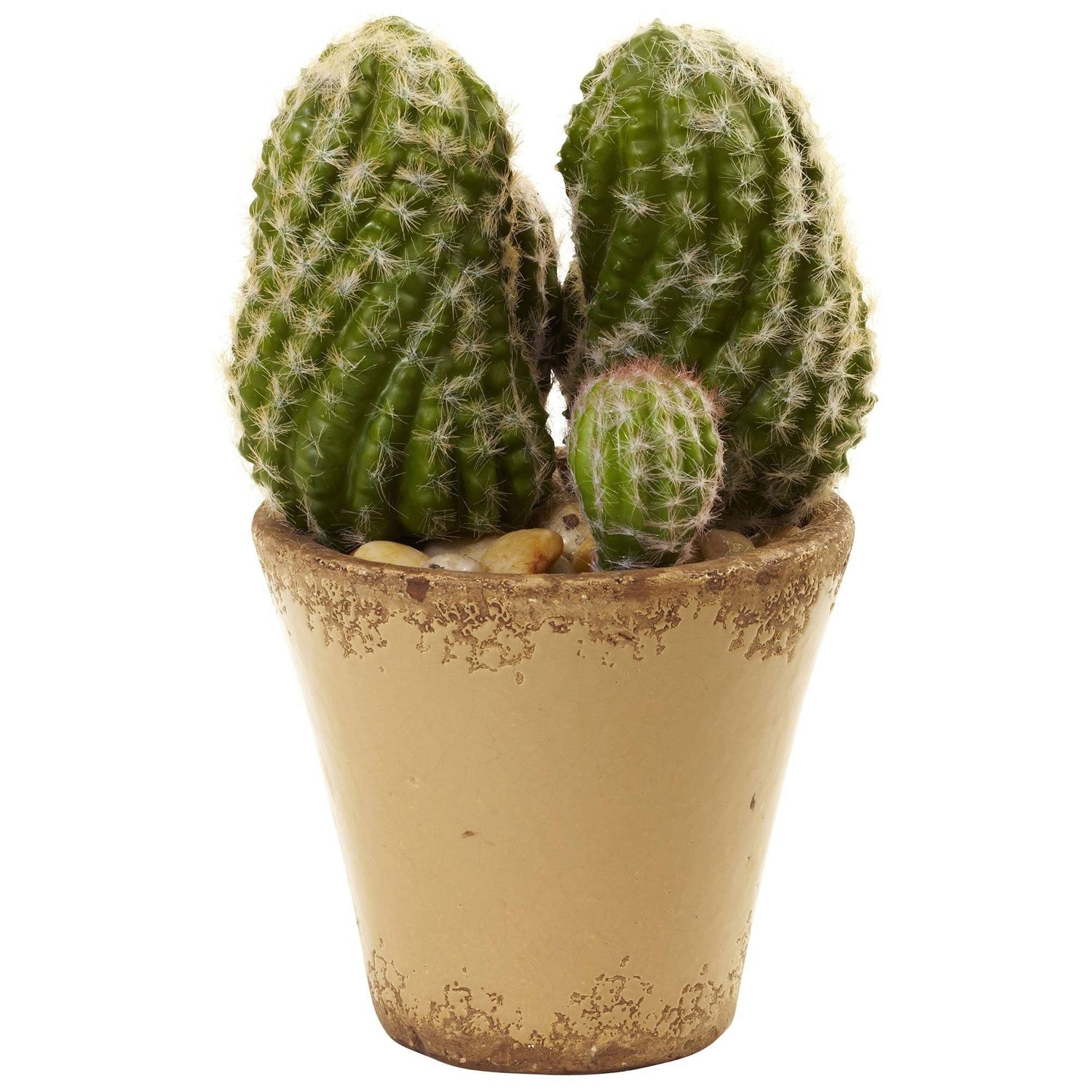 Cactus Garden w/Ceramic Planter