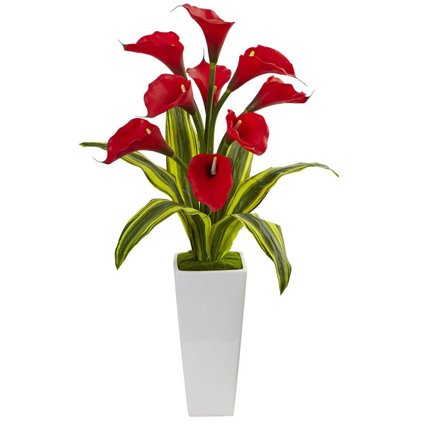 Callas with Tropical Leaves in Glossy Planter
