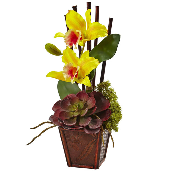 Cattleya Orchid and Succulent Arrangement (Set of 2)
