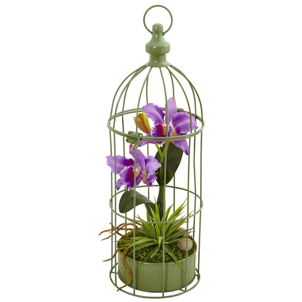 Cattleya Orchid Arrangement in Bird Cage