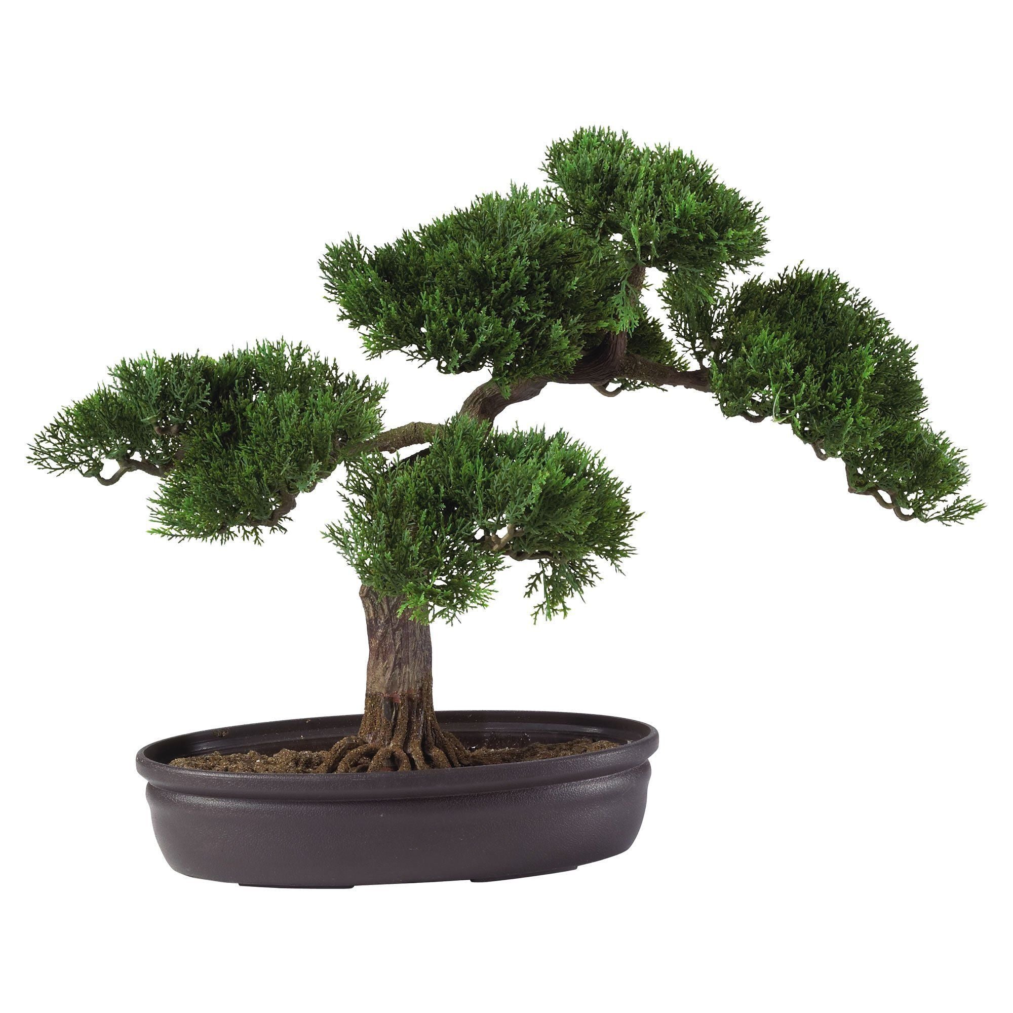 cedar bonsai tree for sale Nearly Natural 16 in. Silk Cedar Bonsai Plant