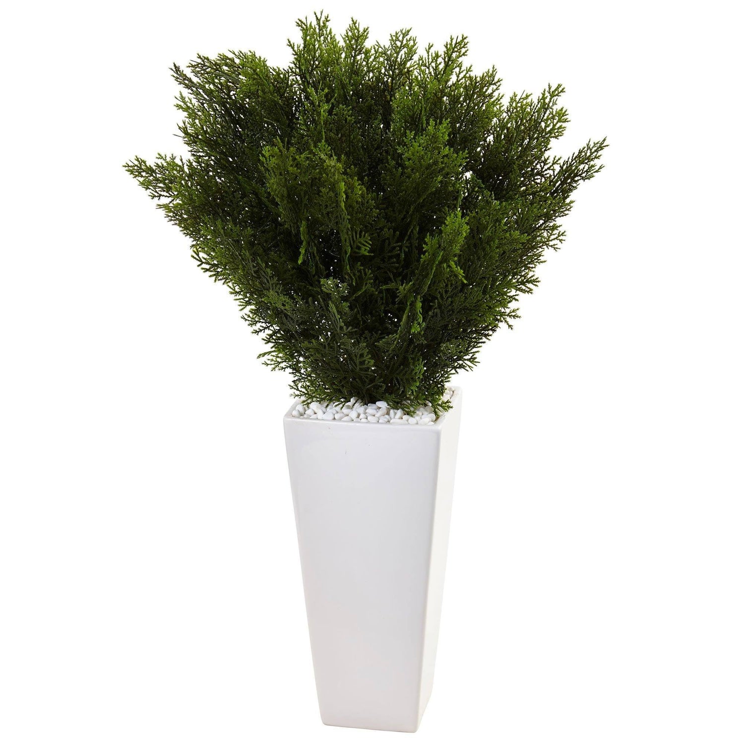 Cedar in White Tower Planter