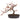 Cherry Blossom Bonsai Silk Tree