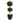 Cypress Topiary with Black Planter UV Resistant (Indoor/Outdoor)