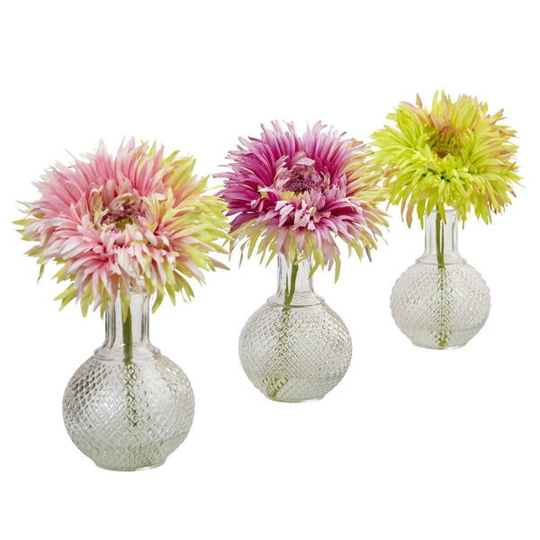 Daisy with Glass Vase (Set of 3)