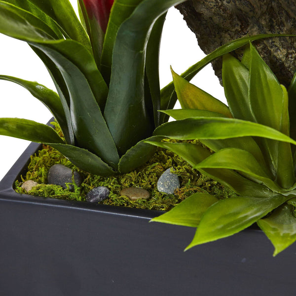 Dendrobium and Bromeliad Arrangement