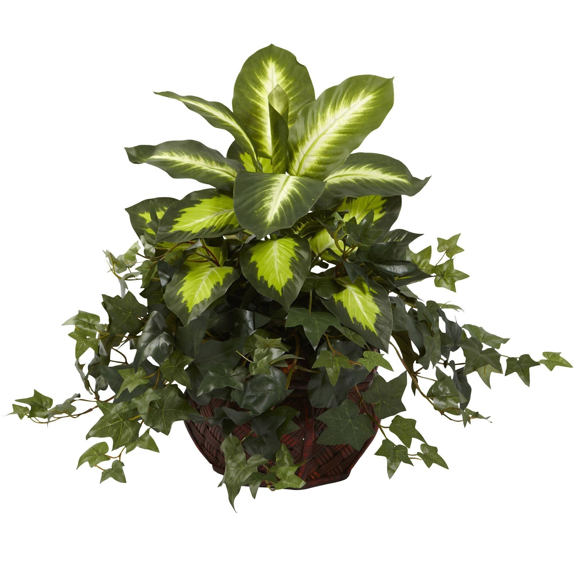 dieffenbachia and english ivy compatible Nearly Natural Dieffenbachia and Ivy with Decorative Planter