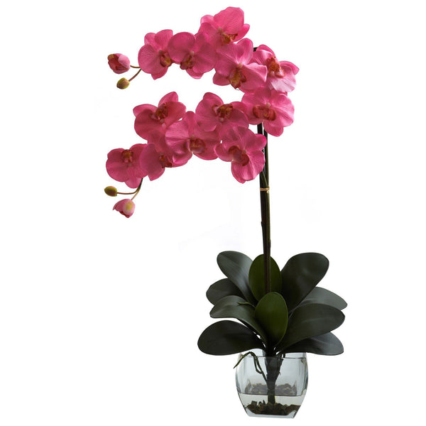 Double Phal Orchid w/Vase Arrangement