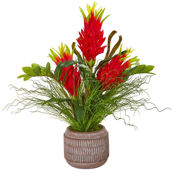 Dragon Fruit, Zamioculcas and Grass Artificial Arrangement