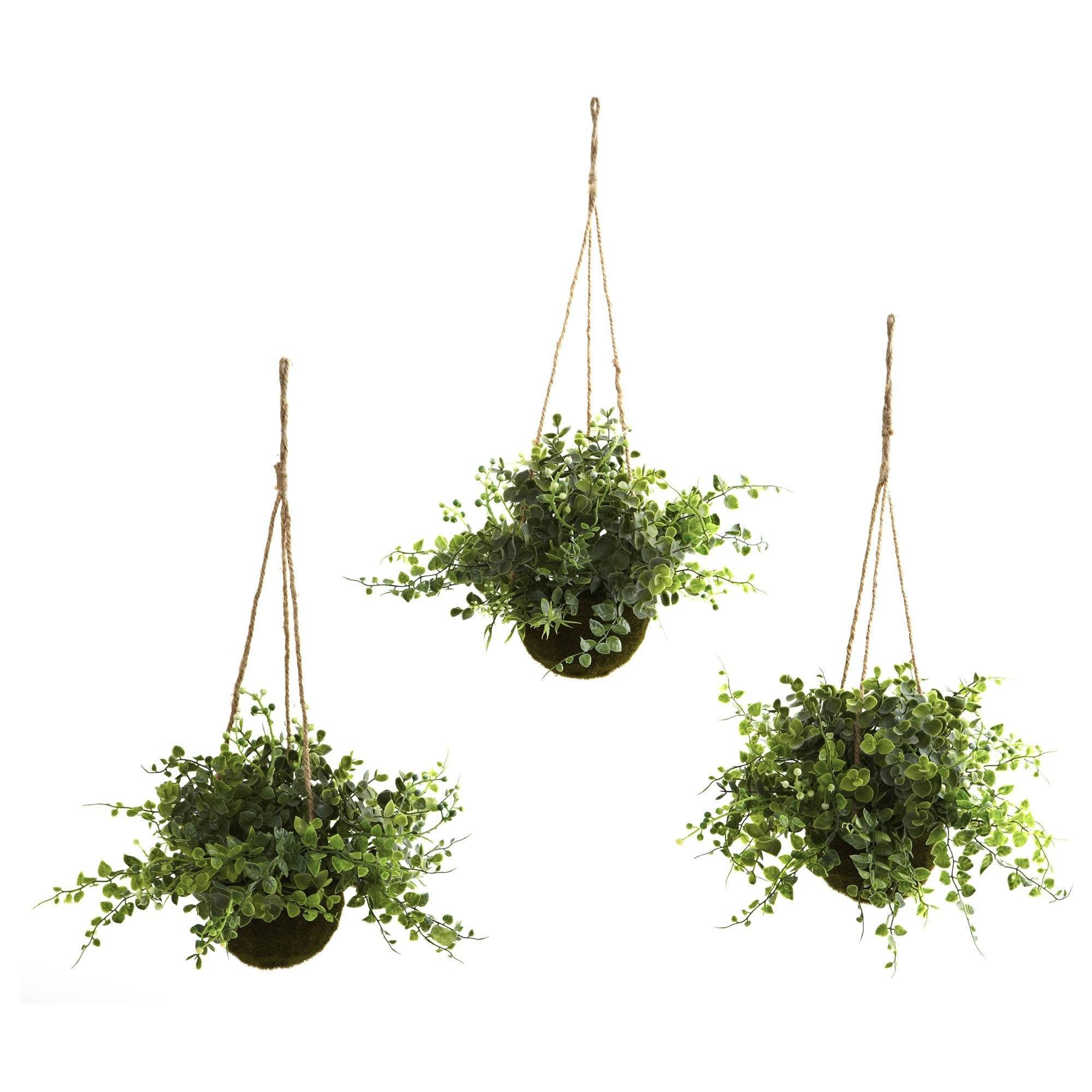 hanging basket plants online Nearly Natural Eucalyptus Maiden Hair & Berry Hanging Basket (Set of 3)