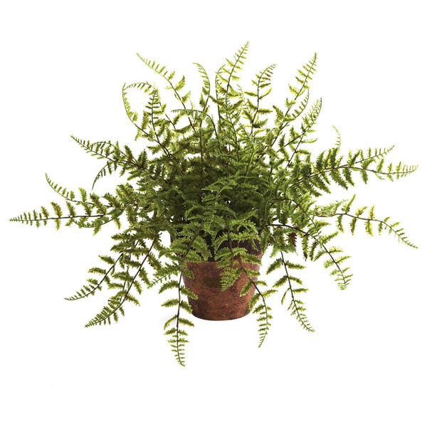 Fern w/Decorative Planter (Set of 2)
