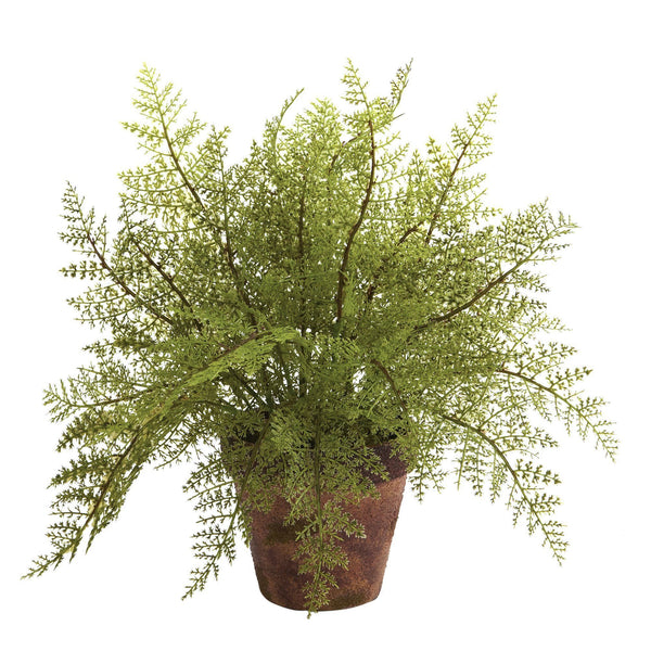 Fern w/Decorative Planter (Set of 2)