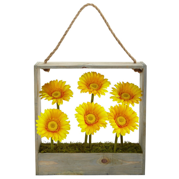 Gerber Daisy Garden in Hanging Frame