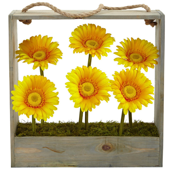 Gerber Daisy Garden in Hanging Frame