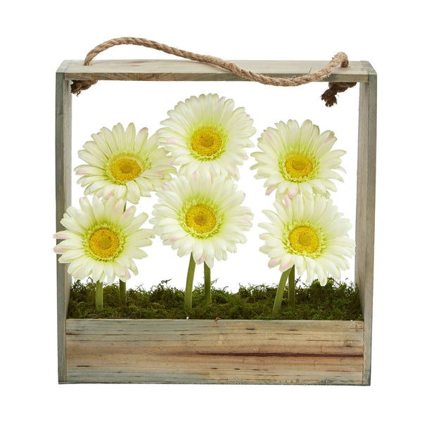 Gerber Daisy Garden in Hanging Frame