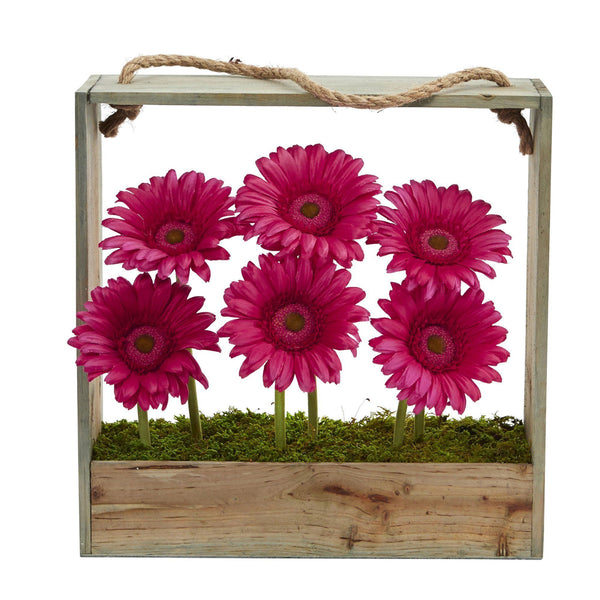 Gerber Daisy Garden in Hanging Frame