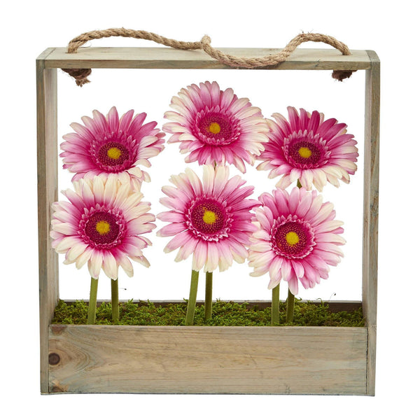 Gerber Daisy Garden in Hanging Frame